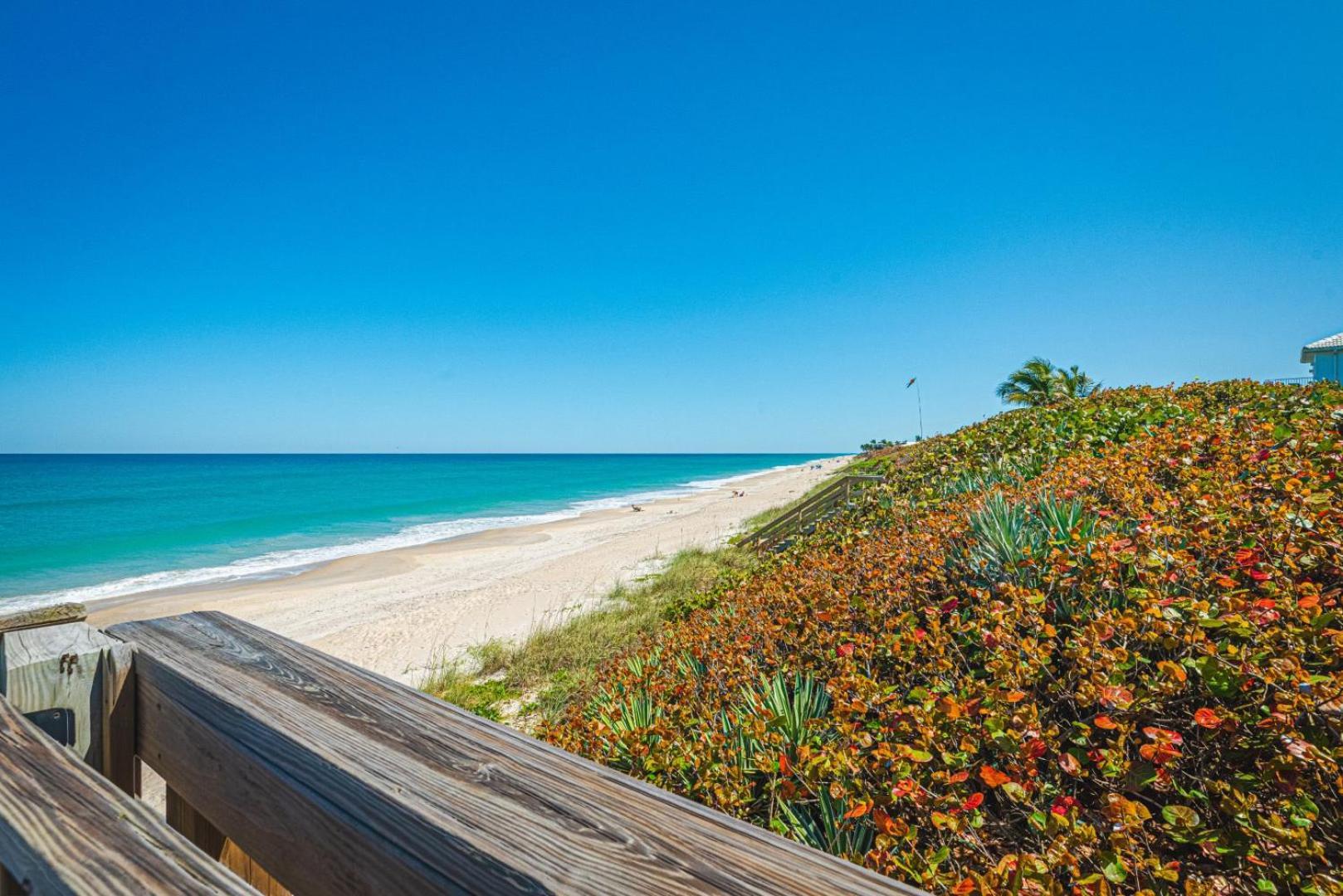 Tranquility Seahorse Suite - Oceanfront Paradise! Мельбурн-Бич Экстерьер фото